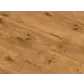 Цвет