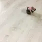 Цвет