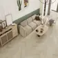 Цвет