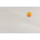 Цвет