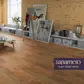 Цвет