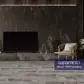 Цвет