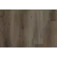 Цвет