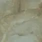 Цвет
