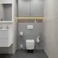 Цвет