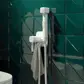 Цвет