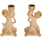 Цвет