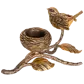 Цвет