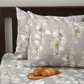 Цвет