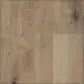Цвет