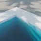 Цвет