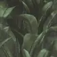 Цвет