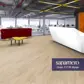 Цвет