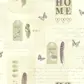 Цвет