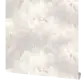 Цвет