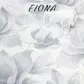 Цвет