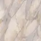 Цвет