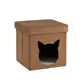 цвет
