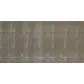 Цвет