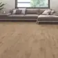 Цвет