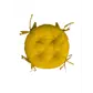 Цвет