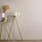 Цвет