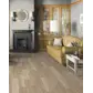 Цвет