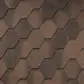 Цвет