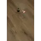 Цвет