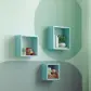 Цвет