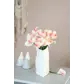 Цвет