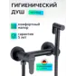 Цвет
