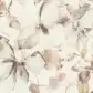 Цвет