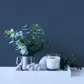 Цвет
