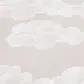 Цвет