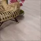 Цвет