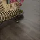 Цвет