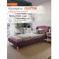 Цвет