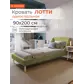Цвет