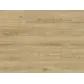 Цвет