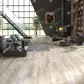 Цвет