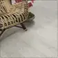 Цвет