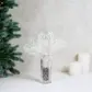 Цвет