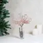 Цвет