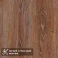 Цвет