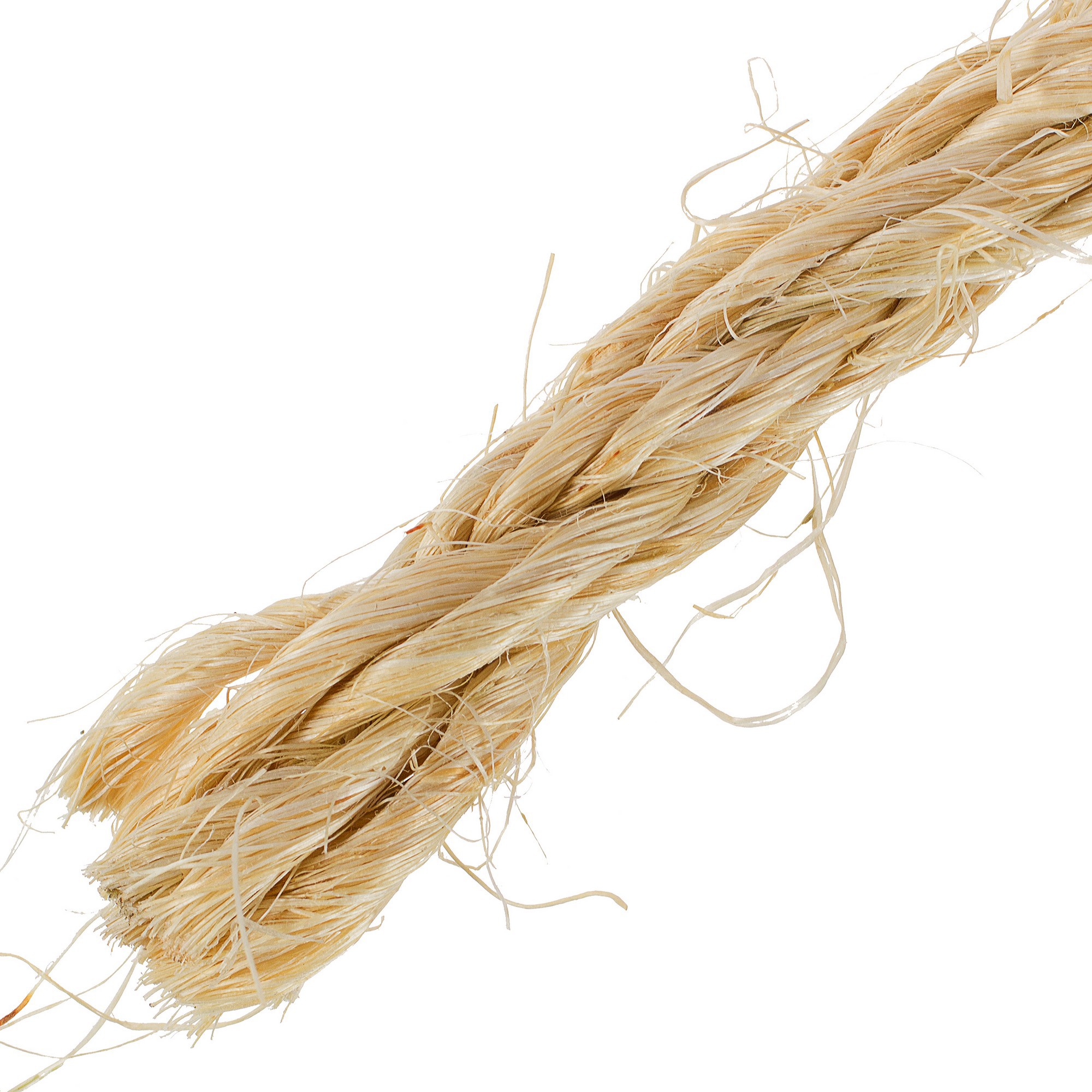 Ол түнде жатын бөлмеге кіріп кетті