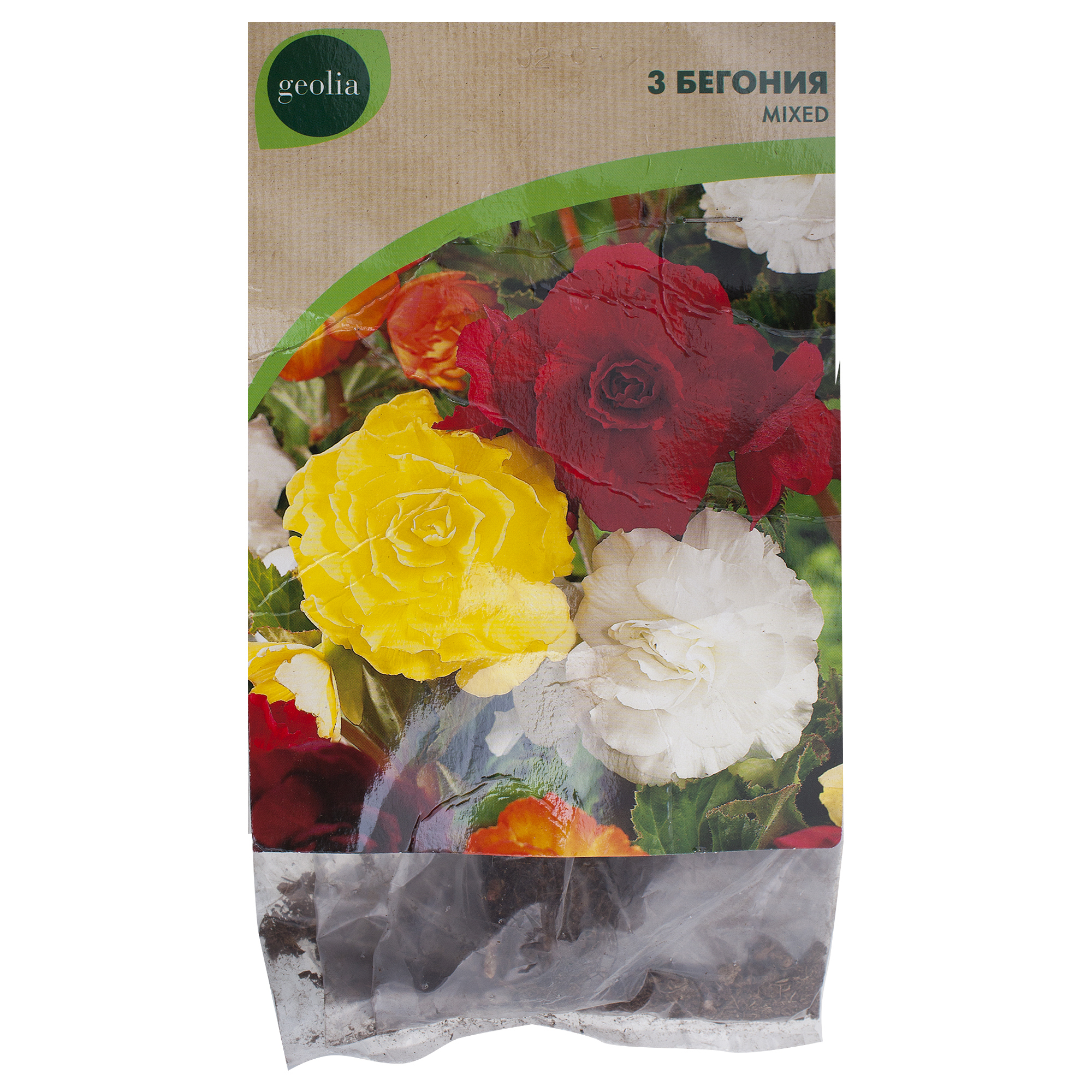 Изображение товара Бегония Geolia double Mixed - яркие однолетние цветы для сада и контейнера Изображение товара Бегония Geolia double Mixed - яркие однолетние цветы для сада и контейнера