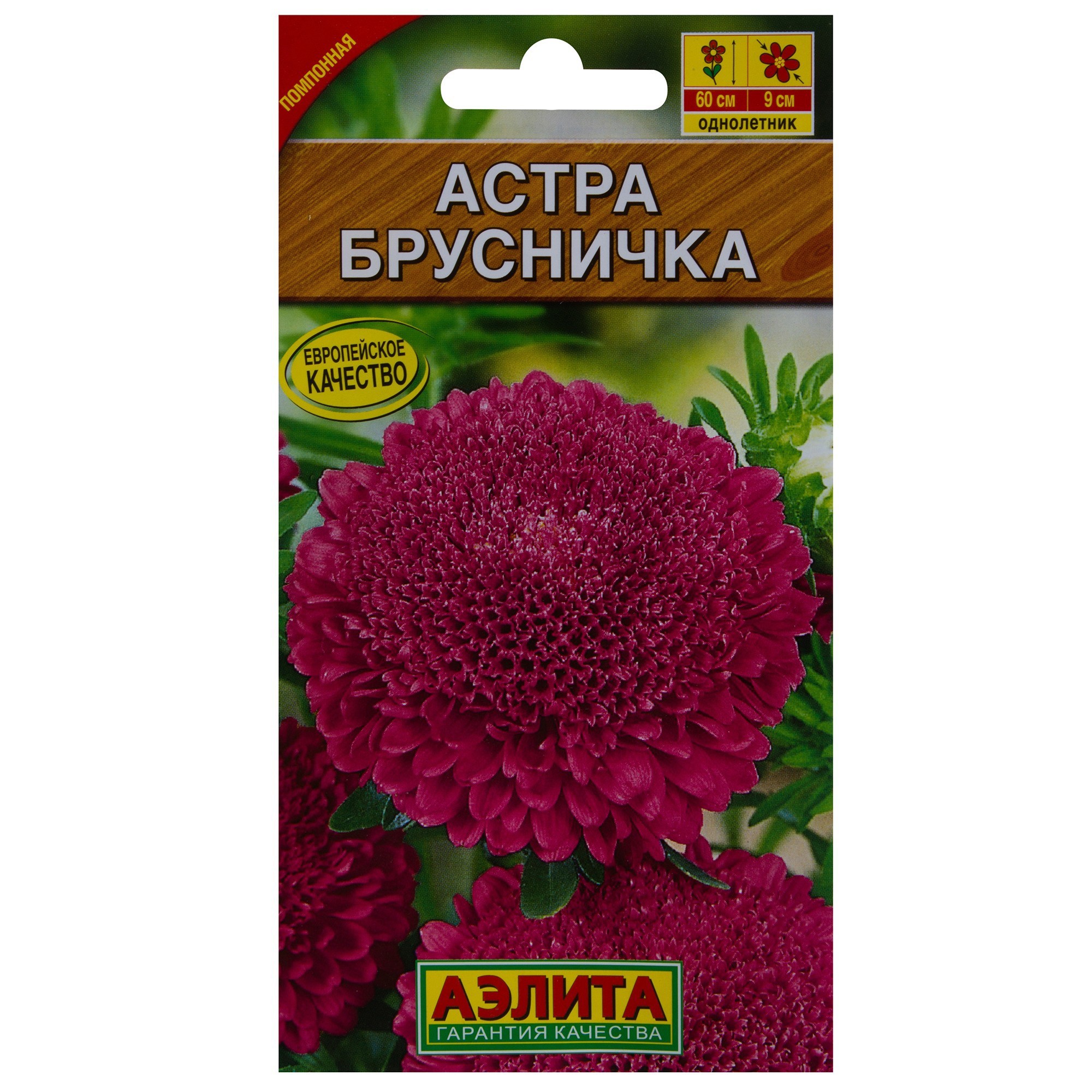 СеменацветовАстраБрусничкакраснаяАэлита