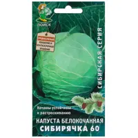 Изображение товара Семена Капуста белокочанная «Сибирячка» 60