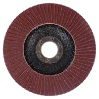 Изображение товара Круг лепестковый торцевой КЛТ2 Flexione Р120 125x22.2 мм